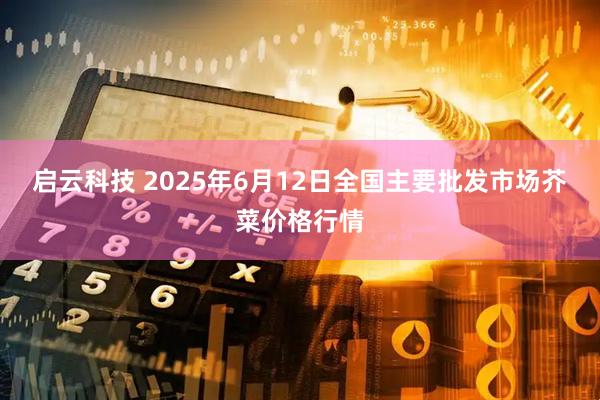 启云科技 2025年6月12日全国主要批发市场芥菜价格行情