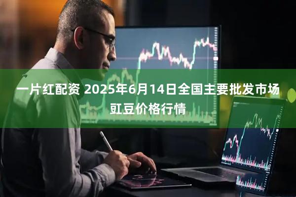 一片红配资 2025年6月14日全国主要批发市场豇豆价格行情
