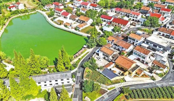 恒盛策略 “好村光”里的振兴“密码”