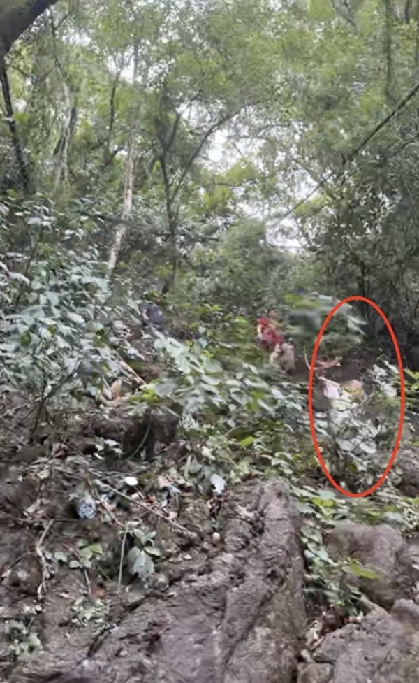 九融配资端 男孩不慎滑落，退役军人一把抱住！后面就是悬崖很危险